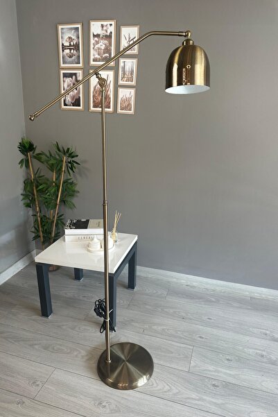 Bamyum Eskitme Lambader F Kol Hareketli Başlık Modern Metal Zemin Lambası