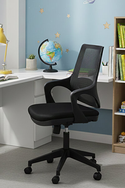 SandalyeDeposu Desemo Çalışma Koltuğu (Siyah)