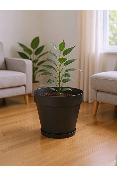 Bliss 10 lt Antrasit Renk Tabaklı Izgaralı Dekoratif Plastik Yalı Saksı