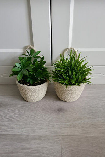 ÖRGÜM سلة زهور صغيرة مزخرفة متعددة الأغراض مقاس 12×10 سم (لا تشمل النباتات أو...