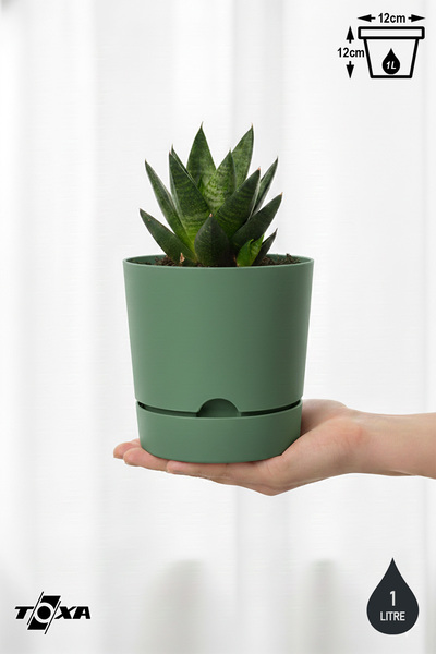 ToXA 0.95 Litre Yeşil Begonya Saksı Küçük Boy Tabaklı Dekoratif Mat Plastik S...