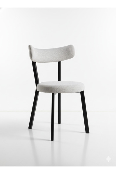 ÖZCAN METAL 2 Adet Teddy Sandalye Siyah Metal Ayak Mutfak Salon Kafe Restoran...