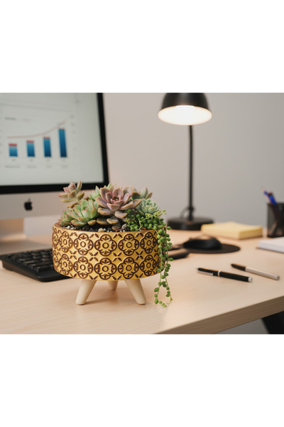 Gold Garden Beton Saksı Ayaklı Sukulent Bonzai Aranjman çiçek saksısı çap:18c...