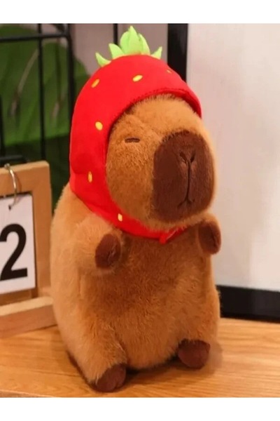 HEY GİDİ GİFT Sevimli Kapibara ve kuromi peluş / İçi Yumuşak / Capybara Oyuncak / Figür Yüksek Kalite