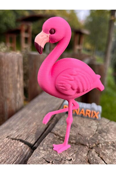 pynarix Flamingo Biblo - Flamingo Biblonun Sessiz Ev Dansı 🦩🌸🏡 Doğadan İlh...