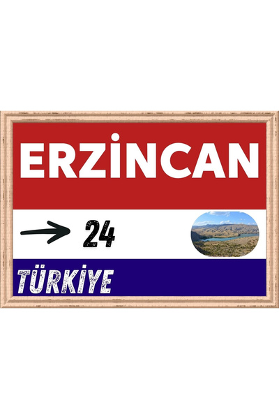 Özcan Tasarım Pictură Erzincan - Pictură retro