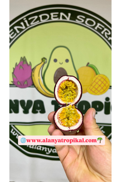 Alanyatropikal PASİFLORA ÇARKIFELEK MEYVESİ(3 adet)