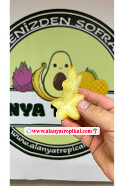 Alanyatropikal YILDIZ MEYVESİ (2 ADET)