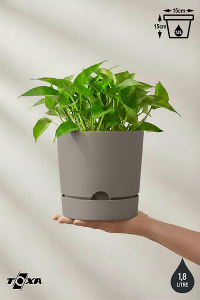 ToXA 1.8 Litre Bej Begonya Saksı Orta Boy Tabaklı Dekoratif Mat Plastik Saksı