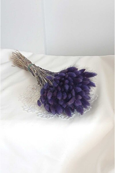 Birlik Pamuk Otu Lagurus Dogal Kuru Çiçek Mor2