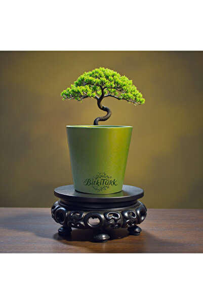 BitkiTÜRK Toprak Saksı 13cm×13cm Orkide&Bonsai&Çiçek&Sukulent&Huwarthia&Kaktüs