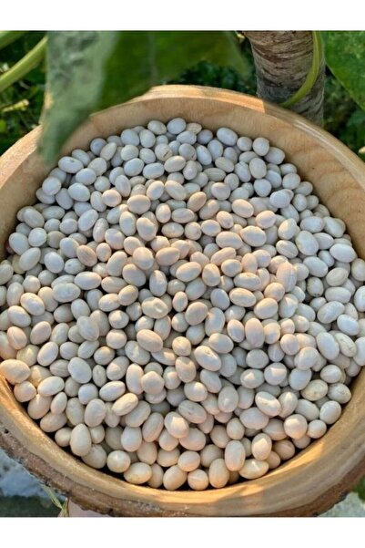 EYE ATAlay YENİ SEZON İspir Şeker Kuru Fasülyesi 3000 Gr (3 Kg)