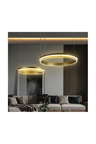 genric Modern pendant light with two gold rings and three 135W lights