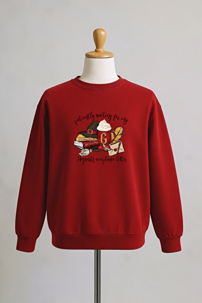 Vordevia Harry Potter Printed Cotton 3 Thread Oversize Sweatshirt