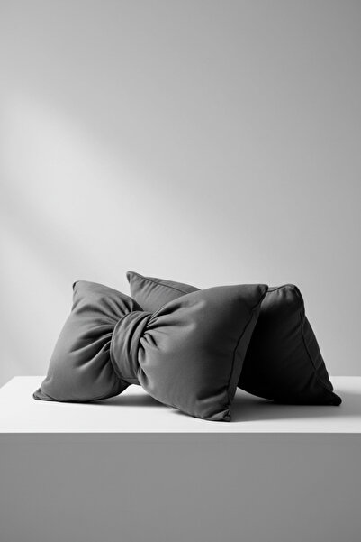 JACA Set of 2 Bowknot-Looking Decorative Linen Fabric Pillow Ribbon Gift Throw Pillow Cushion Set (2 Pieces)