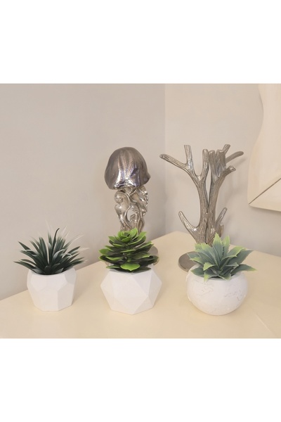Dekor 3 farklı saksı ve 3 adet sukulent şöleni