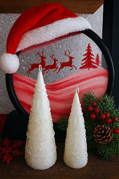 Christmas concept 2-piece Pine tree |Gift|
