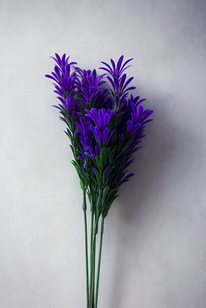 etxShop نبات اصطناعي منفوش من نبات السمسم، 5 فروع، ترتيب زينة للحديقة العمودي...