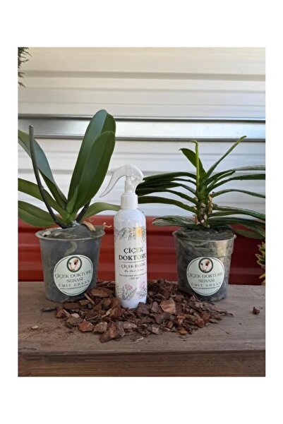 çiçek doktoru orkideleri ümit ersan 2 FİDE 1 BESİN