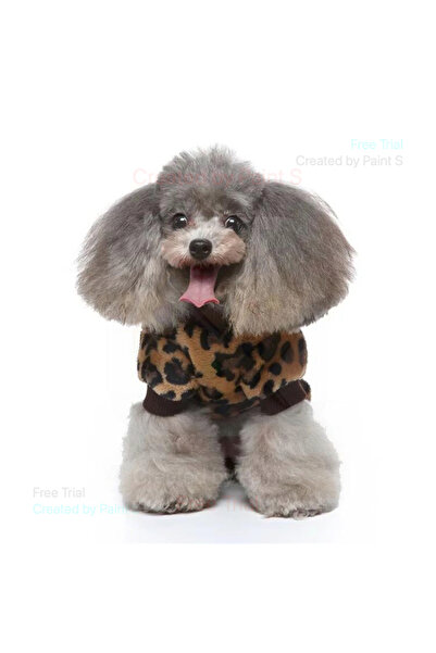 fara marca Puppy T-shirt