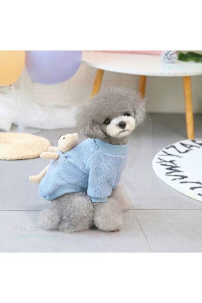 fara marca Puppy T-shirt