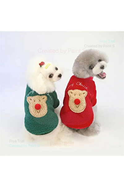 fara marca Puppy T-shirt