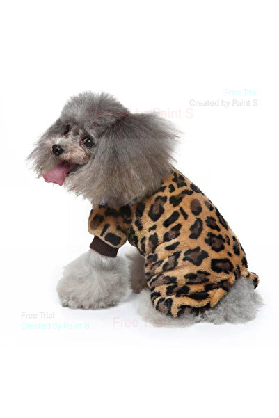 fara marca Puppy T-shirt