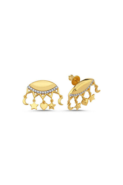 Luneist Steel Earrings