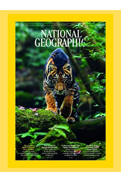 NATIONAL GEOGRAPHIC 1 Yıl Abonelik (12 Sayı)