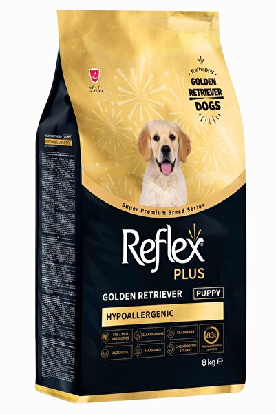 Reflex plus golden retriever puppy 8kg (hypoallergenic) hipoalerjenik yavru k...