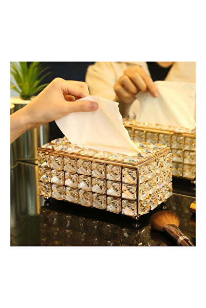 Generic Tissue Storage Box