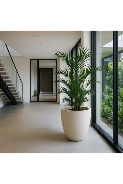 Shop Concrete Hafif Beton Klasik Form Saksı 46x50cm