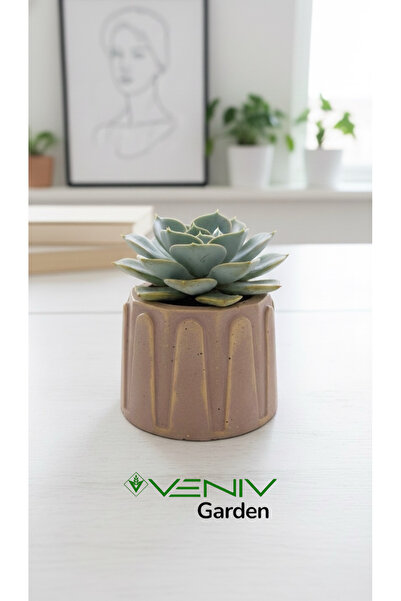 VENİV Beton Saksı El Yapımı Nostalji Eskitme - Gold Detaylı - 5 cm