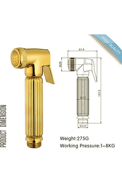 Aishini Golden Handheld Bidet Sprayer Set SSV 4.0 (Golden)