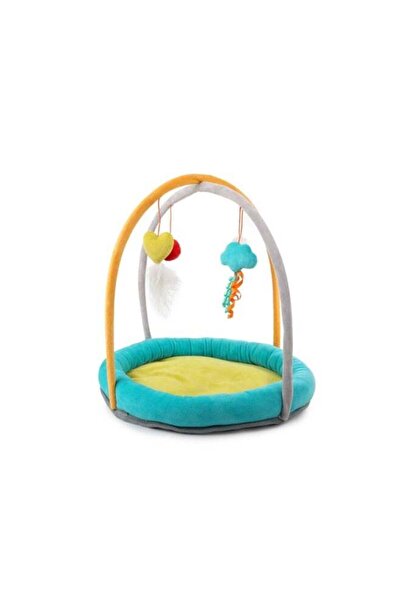 All For Paws صالة ألعاب رياضية كيتي