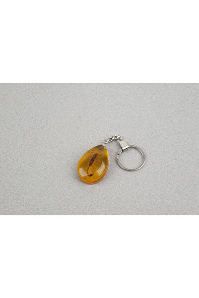 LapisDo Akrep Fosilli Anahtarlık -Tip A