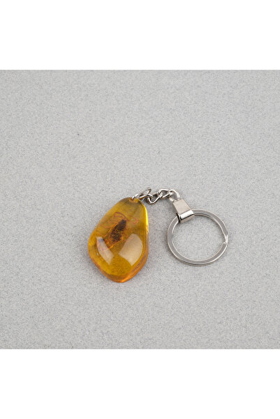 LapisDo A Κρεπ Απολιθωμένο Μπρελόκ -Τύπος D