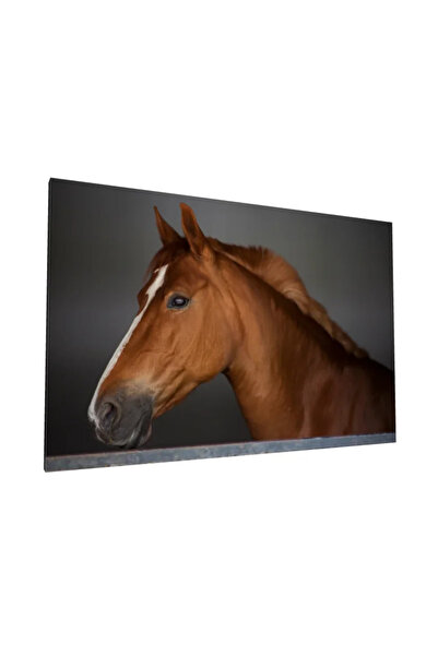 PozaTablou Pictură pe pânză: Profil realist de cal 120x80 cm