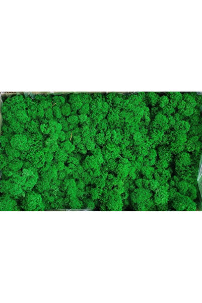 FantezieCuLicheni Licheni naturali stabilizați, 250gr, apple green