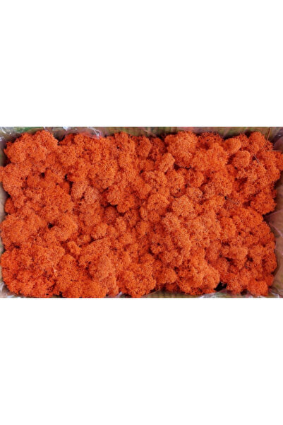 FantezieCuLicheni Stabilized natural lichens, 250gr, orange