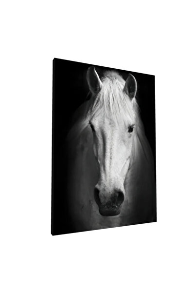 PozaTablou Pictură pe pânză: Portret de cal alb, stil realist, 80x110 cm