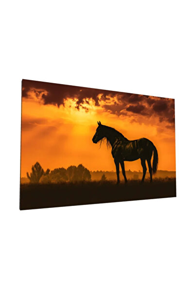 PozaTablou Pictură pe pânză: Siluetă de cal la apus 100x70 cm