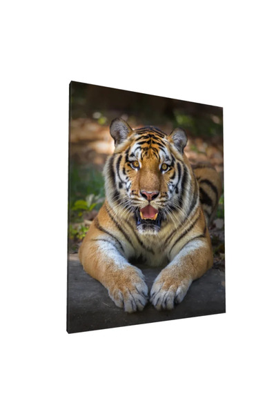 PozaTablou Pictură pe pânză: Tigru în Habitat 70x90 cm