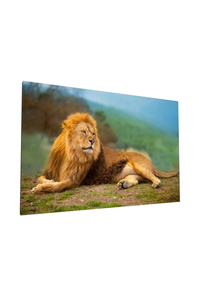 PozaTablou Leu maiestuos în peisaj - Pânză 100x70 cm