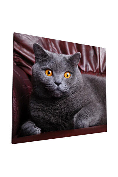 PozaTablou Pictură pe pânză: Pisică gri cu ochi aurii 20x20 cm