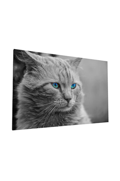 PozaTablou Tablou pe pânză Portret de pisică cu ochi albaștri 70x50 cm