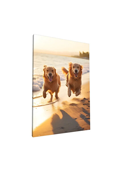 PozaTablou Pictură pe pânză: Câini fericiți pe plajă la apus 80x120 cm