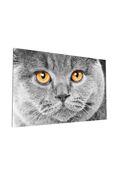 PozaTablou Pictură pe pânză: Portret de pisică cu ochi aurii (100x70 cm)