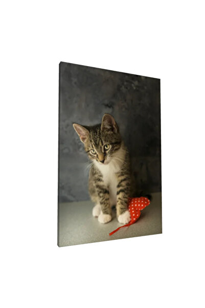 PozaTablou Tablou pe pânză: Pisicuță jucăușă cu fundal gri 80x120 cm