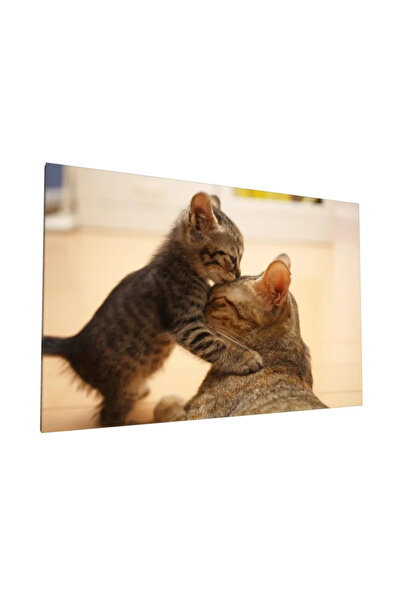 PozaTablou Pictură pe pânză: Pisicuță îmbrățișând părintele 120x80 cm